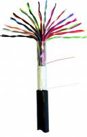 Кабель NETLAN F/UTP 16 пар, Кат.5 (Класс D), 100МГц, одножильный, BC (чистая медь), внешний, PE до -40C, черный, 305м Кабель NETLAN F/UTP 16 пар, Кат.5 (Класс D), 100МГц, одножильный, BC (чистая медь), внешний, PE до -40C, черный, 305м