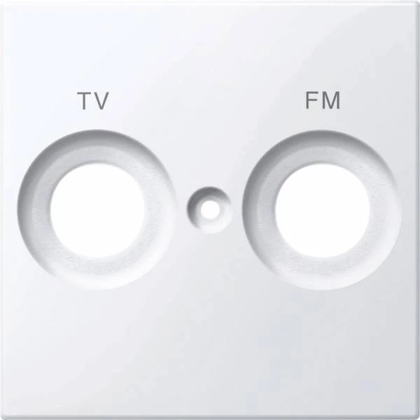 ЦЕНТ.ПЛАТА С МАРКИРОВКОЙ FM И TV АКТ.БЕЛ