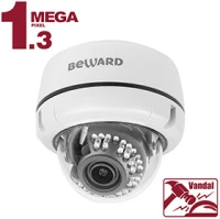 Купольная IP-камера B1510DV