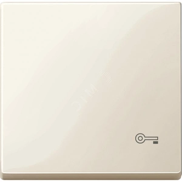 КЛАВИША С ПИКТОГРАММОЙ «КЛЮЧ» АЛЮМ MTN3303-0344