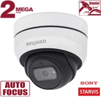 Купольная IP-камера SV2010DBZ