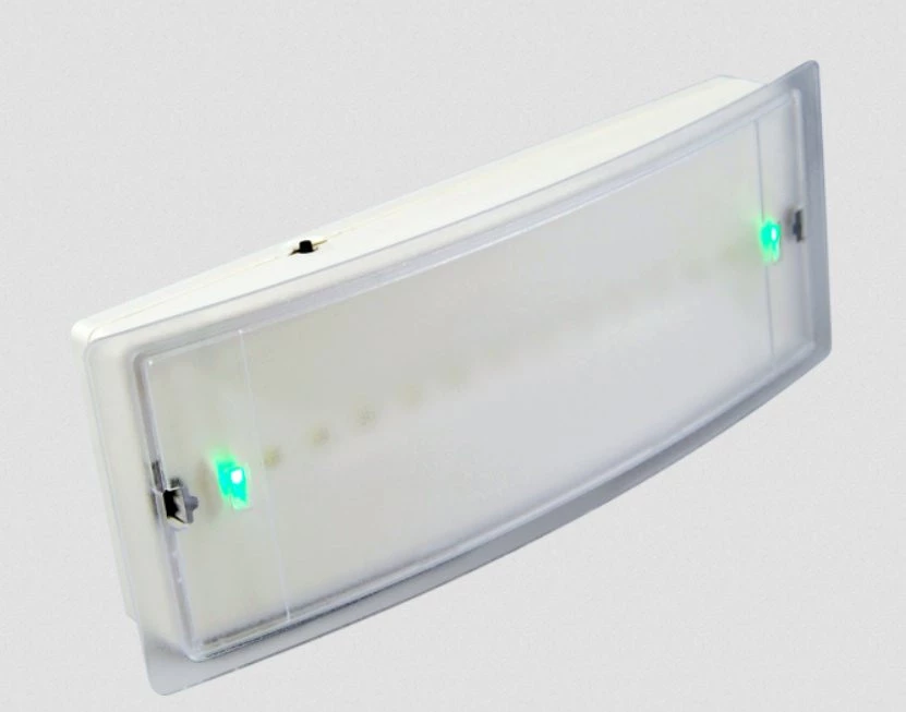 Светильник постоянного/непостоянного горения с Leds, 1,5 часа, IP40 (GR-2100)