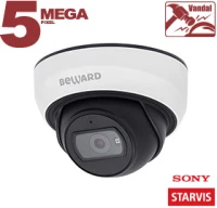 Купольная IP-камера SV3212DBS