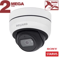 Купольная IP-камера SV2005DB