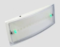 Светильник постоянного/непостоянного горения с Leds, 1,5 часа, IP40 (GR-2100)