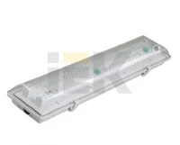 Светильник ЛСП3901А ABS/PS 2х18Вт IP65 ИЭК