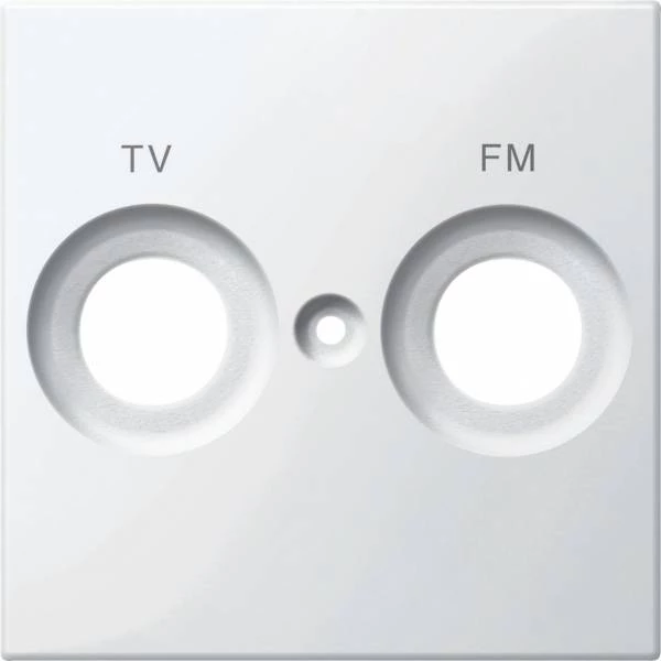 ЦЕНТ.ПЛАТА С МАРКИРОВКОЙ FM И TV ПОЛ-БЕЛ