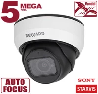 Купольная IP-камера SV3212DZ